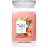 Yankee Candle White Strawberry Bellini dišeča sveča 567 g | Shoptok.si