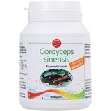 SanaCare Cordyceps ekstrakt | shoptok.hr