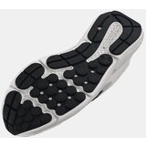 Under Armour Men's shoes Charged Assert 10 | Shoptok.si
