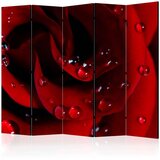  Paravan u 5 dijelova - Red rose with water drops II [Room Dividers] 225x172 Cijene