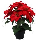 Molarem Home Umjetna crvena Božićna zvijezda u crnoj tegli - 35 cm Slike