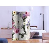 Artgeist PARAVAN večbarvno | Shoptok.si