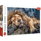 Trefl Spavajući lav puzzle, 1000 dijelni | shoptok.hr