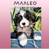 Maaleo slikanje po brojevima pas, platno na drvenom okviru 40 x 30 cm | shoptok.hr