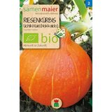 Samen Maier BIO buče, velike, Uchiki Kuri "Hokaido" Cene