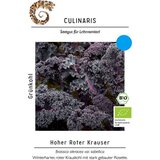 Culinaris Bio ohrovt High Red Krauser | Shoptok.si
