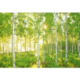 Komar Into Illusions Foto tapeta (4 -dij., Š x V: 368 x 248 cm, Flis) Cijene