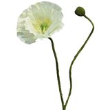Dekordom cvet RHOEAS 60cm 13218-0 - Cream - NNT Cene