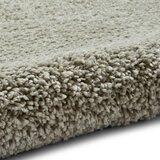 Think Rugs Svijetlo zeleni tepih 80x150 cm Sierra – | shoptok.hr