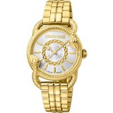 Roberto Cavalli By Franck Muller RV1L126M | shoptok.hr