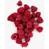 Vilgain Liofilizirano voće - malina - 100 g Cijene