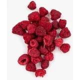 Liofilizirano voće - malina - 100 g