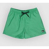 Quiksilver Everyday Deluxe Volley 15 Boardshorts leprechaun | Shoptok.si