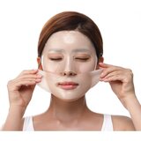 Petitfée Gold intenzivna hidrogel maska s 24-karatnim zlatom 32 g | shoptok.hr
