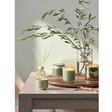 ILLUME x Bloomingville Difuzor Hinoki Sage – | Shoptok.si