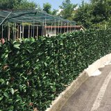 Tenax Veštačka fotinija rolna 1,5x3m | Eponuda.com