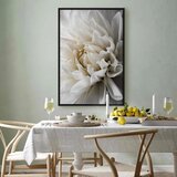  Slika - White Dahlia 60x90 | shoptok.hr