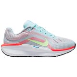 Nike Tek & Trail Winflo 11 Bela Cene