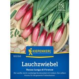KIEPENKERL Pomladna čebula "Red of Firence" - 1 pkt. | Shoptok.si