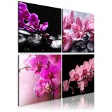  Slika - Orchids more beautiful than ever 80x80 Cijene