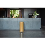 Brabantia Željezna kanta za smeće s pedalom u zlatnoj boji 30 l NewIcon – | shoptok.hr