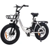 Električno kolo B5, baterija 48 V 12,5 Ah, doseg 20 palcev, 80 km, bež, (5000231877)