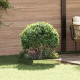  Ograda oko Travnjaka 60 x 60 x 20 cm Čelik Srebrna | Eponuda.com