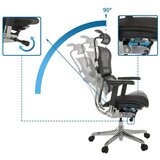 MID.YOU Pisarniški Stol Ergohuman Gen2, Črna | Shoptok.si