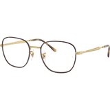 Ray-ban RX6534 3188 M (51) Havana/Kristalna | Shoptok.si