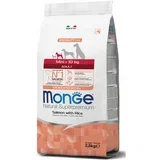 hrana za pse adult mini - losos 2.5kg