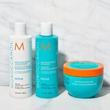 Moroccanoil Restorative Hair Mask 250ml | Eponuda.com