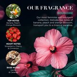 Baylis & Harding Boudoire Tropical Paradise darilni set kovinska škatla | Shoptok.si
