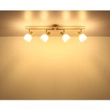 Globo REFLEKTOR PLANTA 70/9/15,5 cm | Shoptok.si