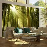  Tapeta - Pine forest 350x270 Cijene