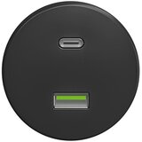  Reblig - Retro USB utičnica A+C bez okvira, antracit | Eponuda.com