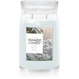 Yankee Candle Snow Kissed Pine dišeča sveča 567 g Cene