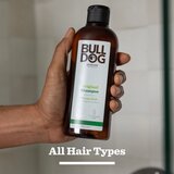 Bull Dog Original Hair Styling Trio poklon set za muškarce | shoptok.hr
