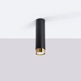 Nice Lamps Črna/v zlati barvi stropna svetilka Crown – | Shoptok.si