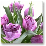  Slike na platnu cveće (moderne slike na platnu) | ePonuda.com