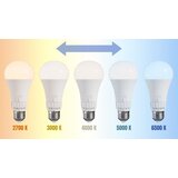  LED žarulja 5 boja svjetla GLS E27 230V 10W 5CCT | shoptok.hr