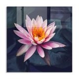 WALLXPERT dekorativna slika 1376 k (60 x 60) Cene