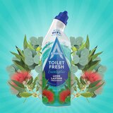 Astonish Gel čistač sanitarija Eukaliptus 750 ml Cene