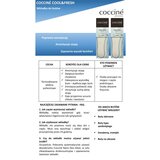 Coccine Thermoactive Cool Fresh Dry Foot Insoles | ePonuda.com