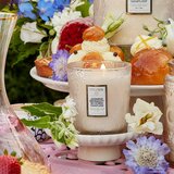VOLUSPA Japonica Jasmine Midnight Blooms mirisna svijeća 255 g | shoptok.hr