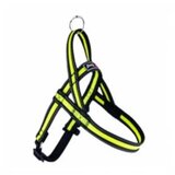 Gim Dog MESH am 1.5x45-55cm zuti Cene