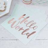 Ginger Ray® papirnate salvete hello world | shoptok.hr