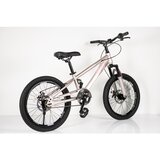 Winner Bike Dečiji bicikl 20” CHAMPAGNE/PINK | Eponuda.com