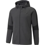 Evostripe Core FZ Hoodie za Muškarce - Siva