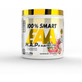 100% Smart EAA M.A.P. + Electrolytes - 300 g - Strawberry Watermelon | shoptok.hr