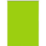 vidaXL Rolo zatemnjena listi zeleni 110x150cm tkanina širina 105,7cm | Shoptok.si